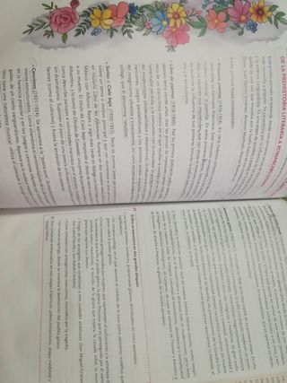 Lengua y literatura 2 bachillerato. Sansy