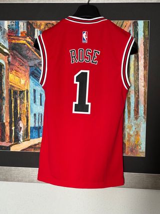 Camiseta Baloncesto Adidas. Chicago Bulls 1