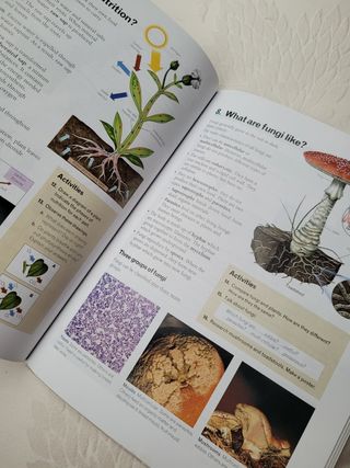 Natural Science Essential 1° ESO Santillana