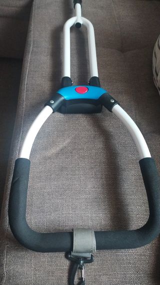Triciclo evolutivo