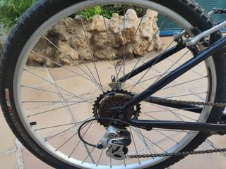 Bicicleta montaña paseo Specialized