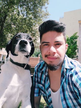 Cuidador / paseador perros, gatos y otros animales