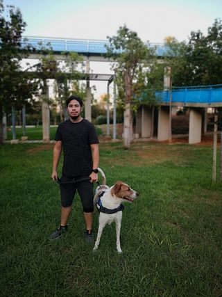 Cuidador / paseador perros, gatos y otros animales