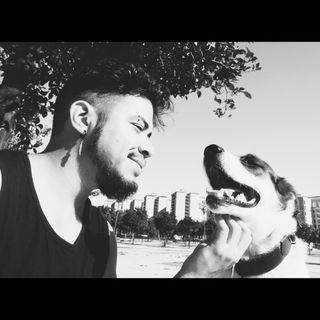 Cuidador / paseador perros, gatos y otros animales