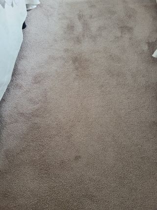 Alfombra malva Efecto Seda