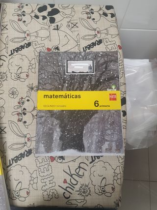 Libros Matemáticas 6 primaria SM