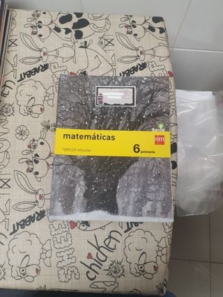 Libros Matemáticas 6 primaria SM
