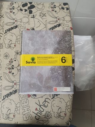 Libros Matemáticas 6 primaria SM