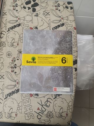 Libros Matemáticas 6 primaria SM