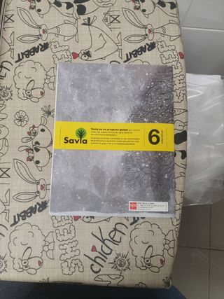 Libros Matemáticas 6 primaria SM