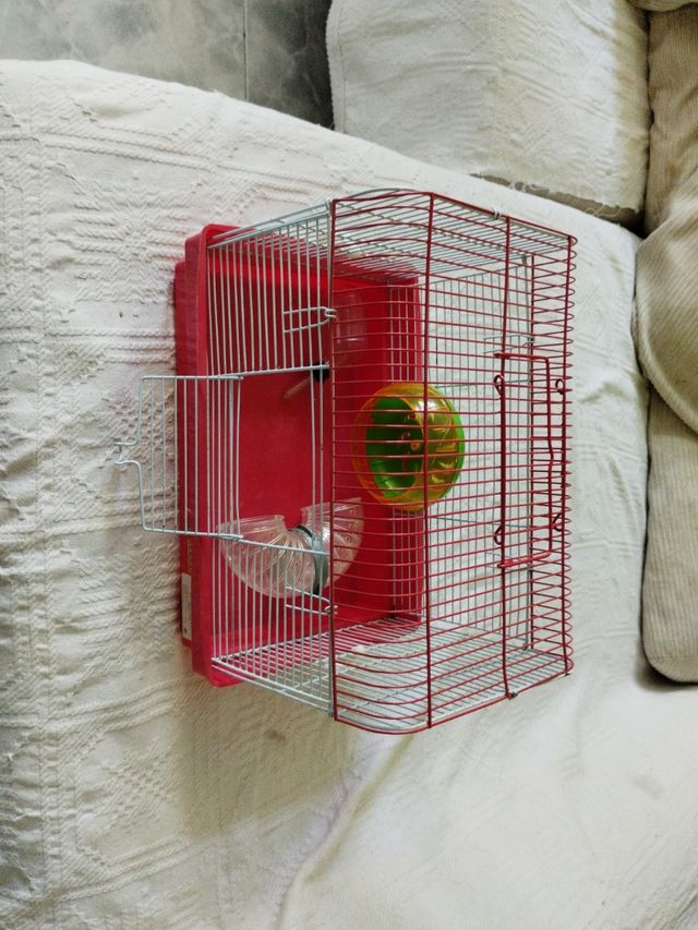 Jaula de hamster