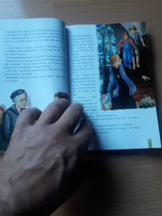 The aventures of Tom Sawyer