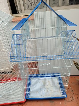 Jaula de pájaros ( Solo me queda la roja)