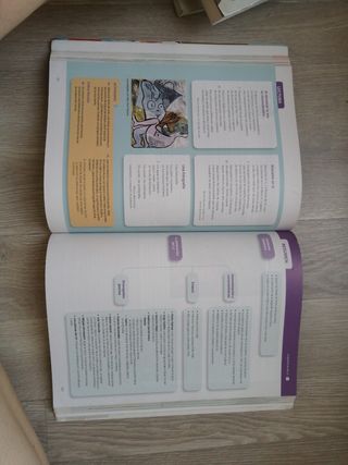 LIBRO LENGUA 2 BACHILLERATO SANTILLANA