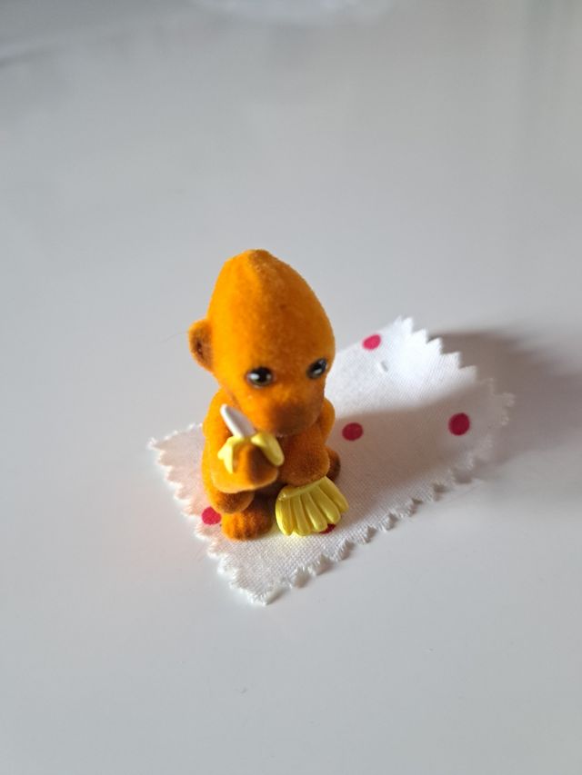 scimmia con copertina