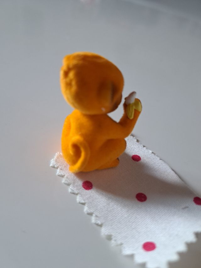 scimmia con copertina