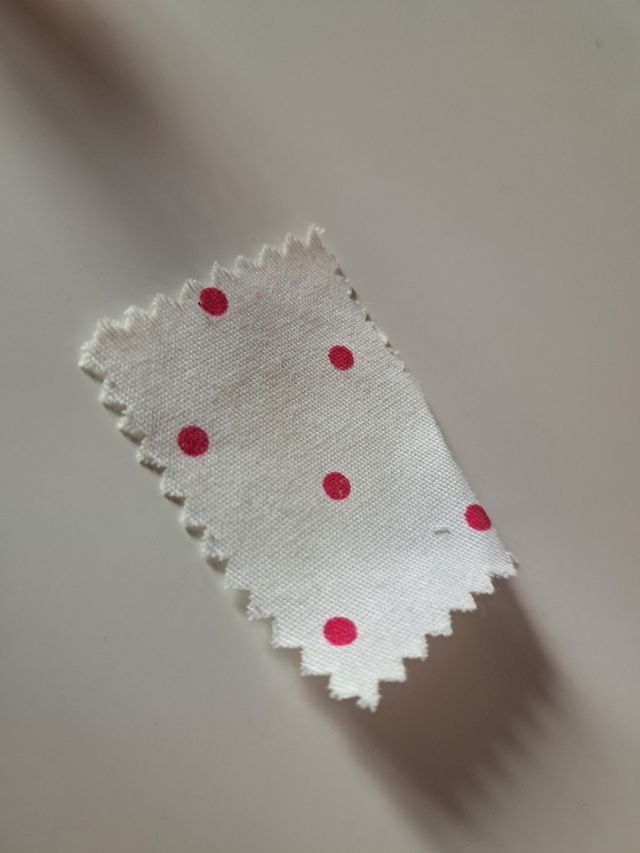 scimmia con copertina