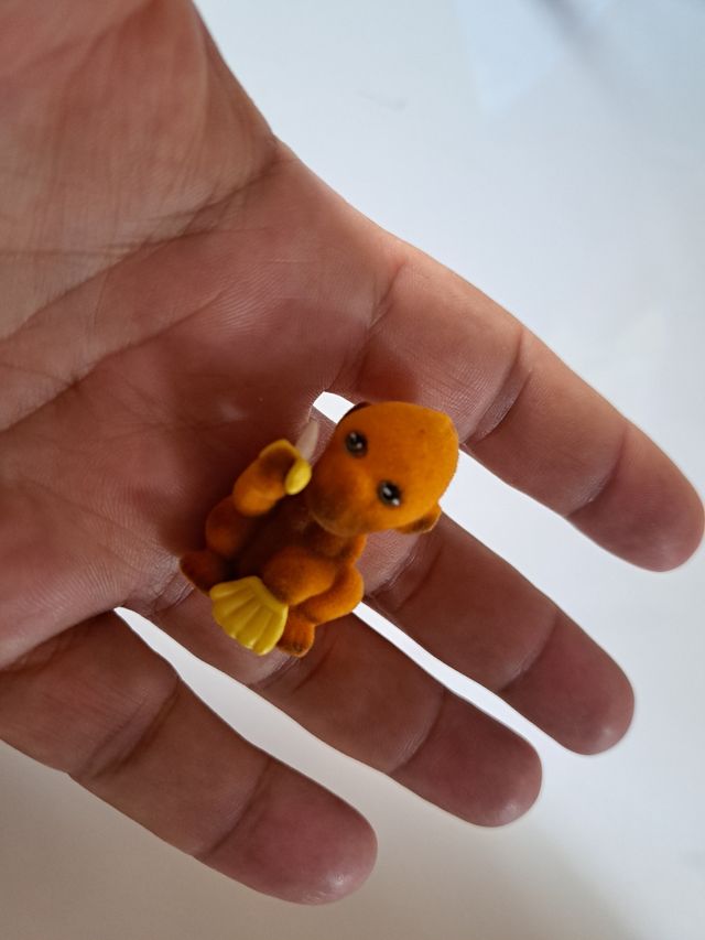 scimmia con copertina