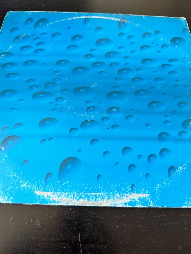 Birdy make my day 99 remix