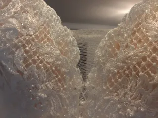 vestido novia Pronovias