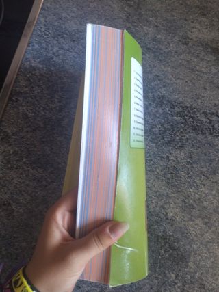 Tecnologías de la info, Donostiarra