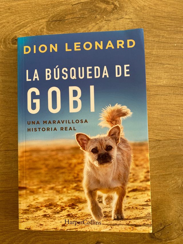 La búsqueda de GOBI