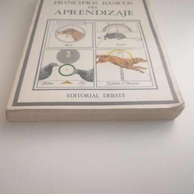 Libro Principios Básicos del Aprendizaje