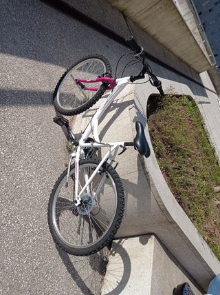 Bicicleta 24