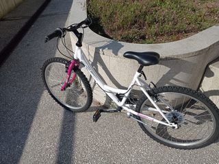 Bicicleta 24