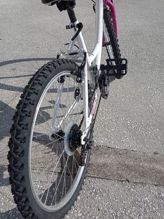 Bicicleta 24
