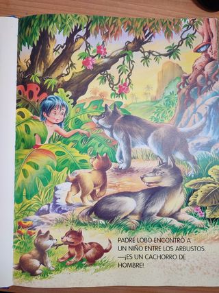 Libros Infantiles historias 
