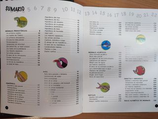 Libros Infantiles aprendizaje