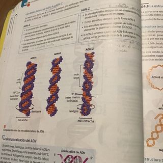 biologia 2ºBach edelvives