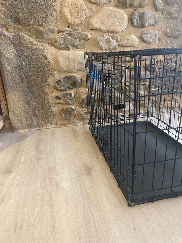 Gabbia per cani di medie dimensioni