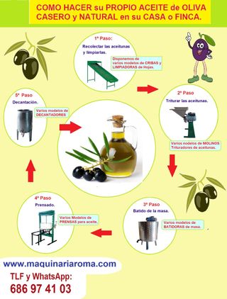como hacer aceite de oliva
