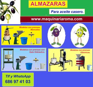 como hacer aceite de oliva