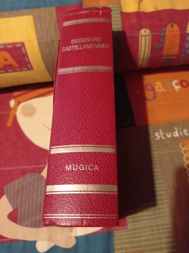 Diccionario euskera -castellano 