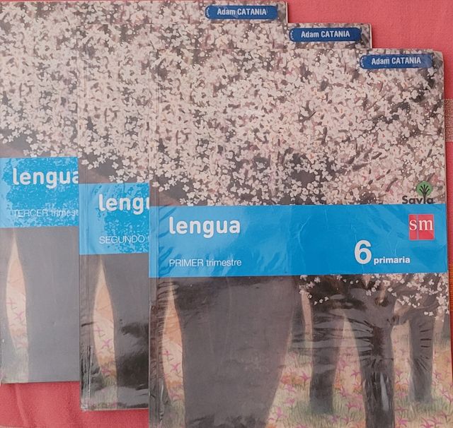 Lingua 6 primaria. SM. 3 volumi