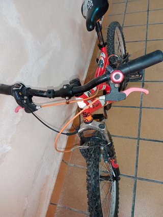 Bicicleta