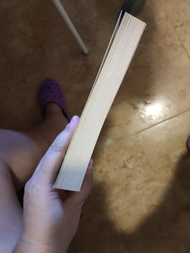 La flecha negra, de R. L. Stevenson