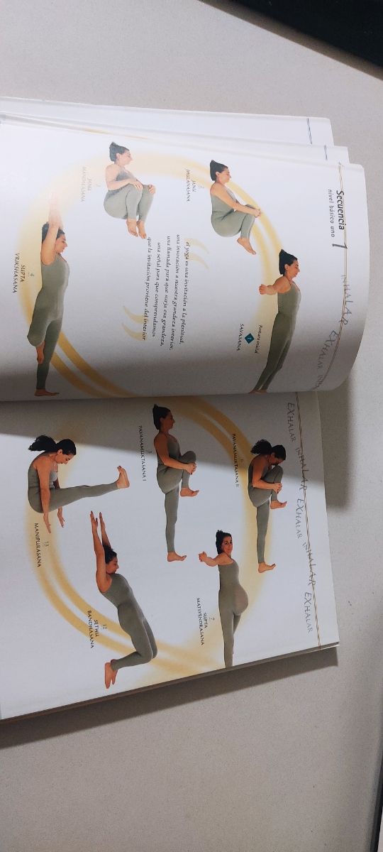 Libro de Yoga. Mohini Chatlani
