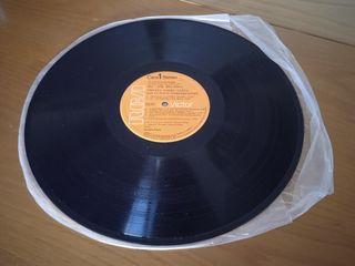 Disco vinilo Violeta Parra