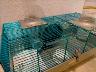 Jaula hamster con tunel