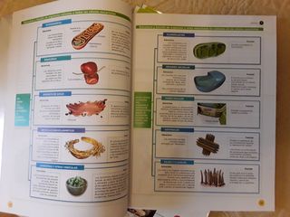 LIBRO BIOLOGÍA Y GEOLOGÍA 4 ESO