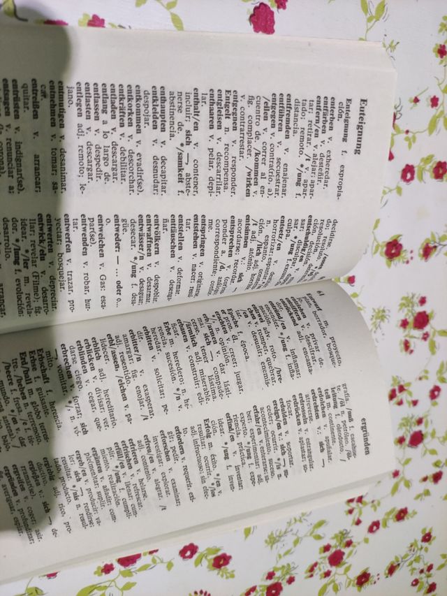 Diccionario Español Alemán. 