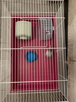 Jaula Hamster