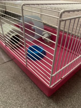 Jaula Hamster