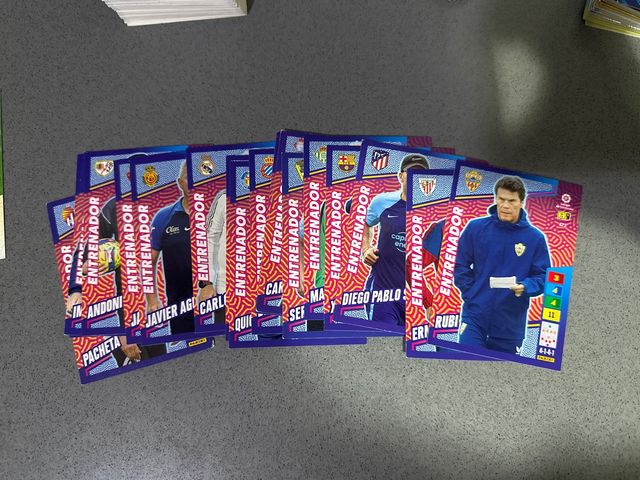 383 cromos Adrenalyn XL