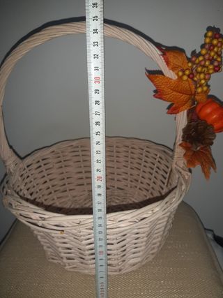CESTA MIMBRE