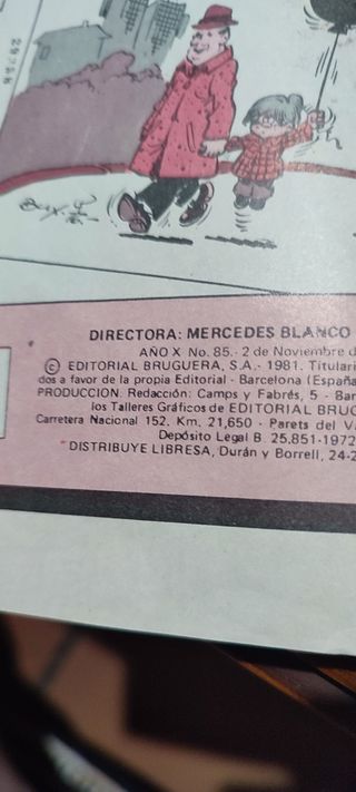 LOTE DE TRES TEBEOS DE ZIPI ZAPE